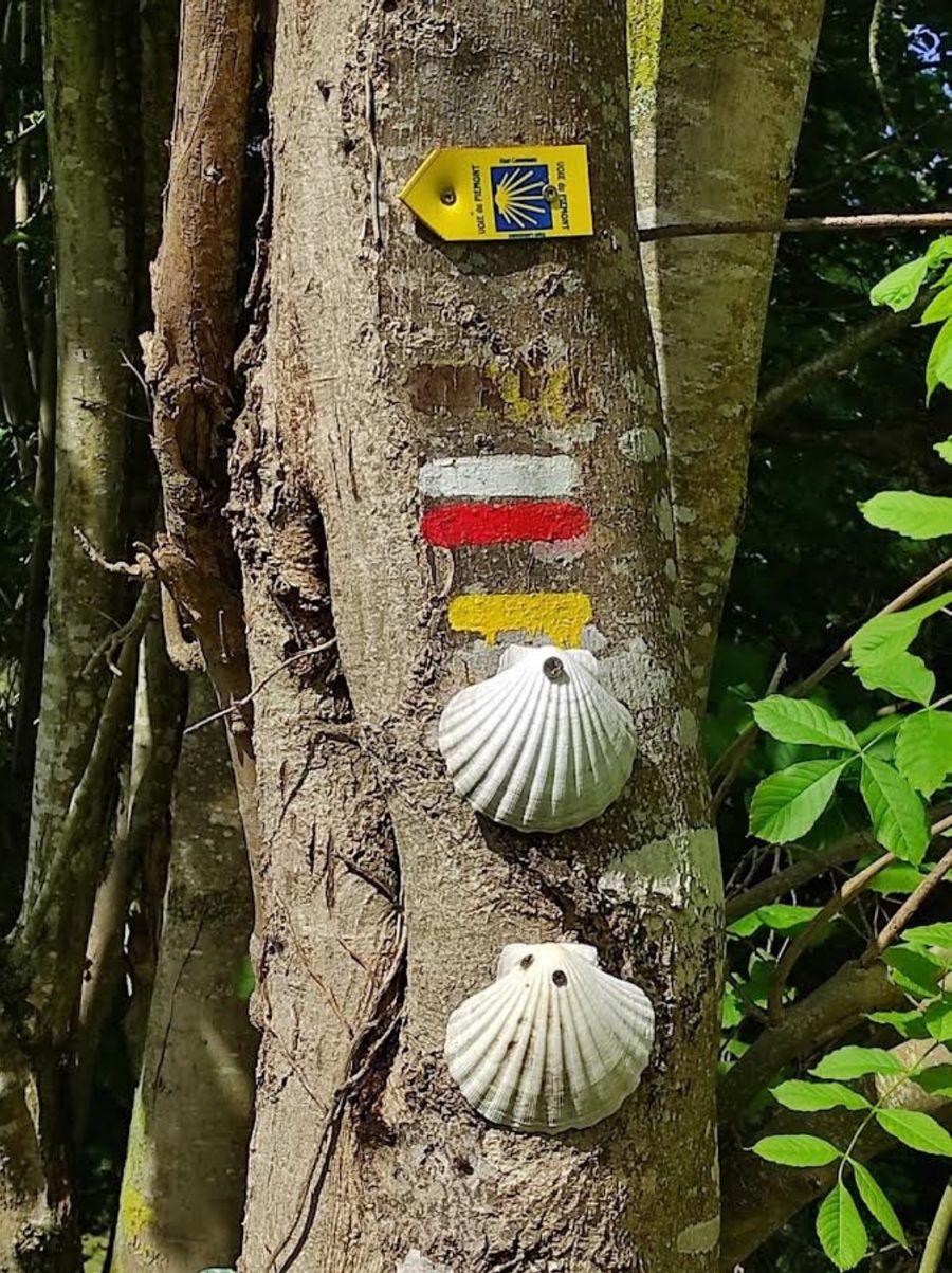 Premières coquilles sur le GR 78